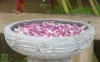 Artikelbild 1 des Artikels “Jakarta - Schale mit Blumenmotiv, Frangipani,  Ø 30 cm | Steinguss “